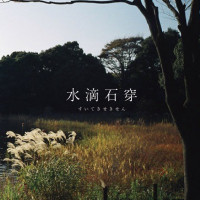 水滴石穿 / 遥