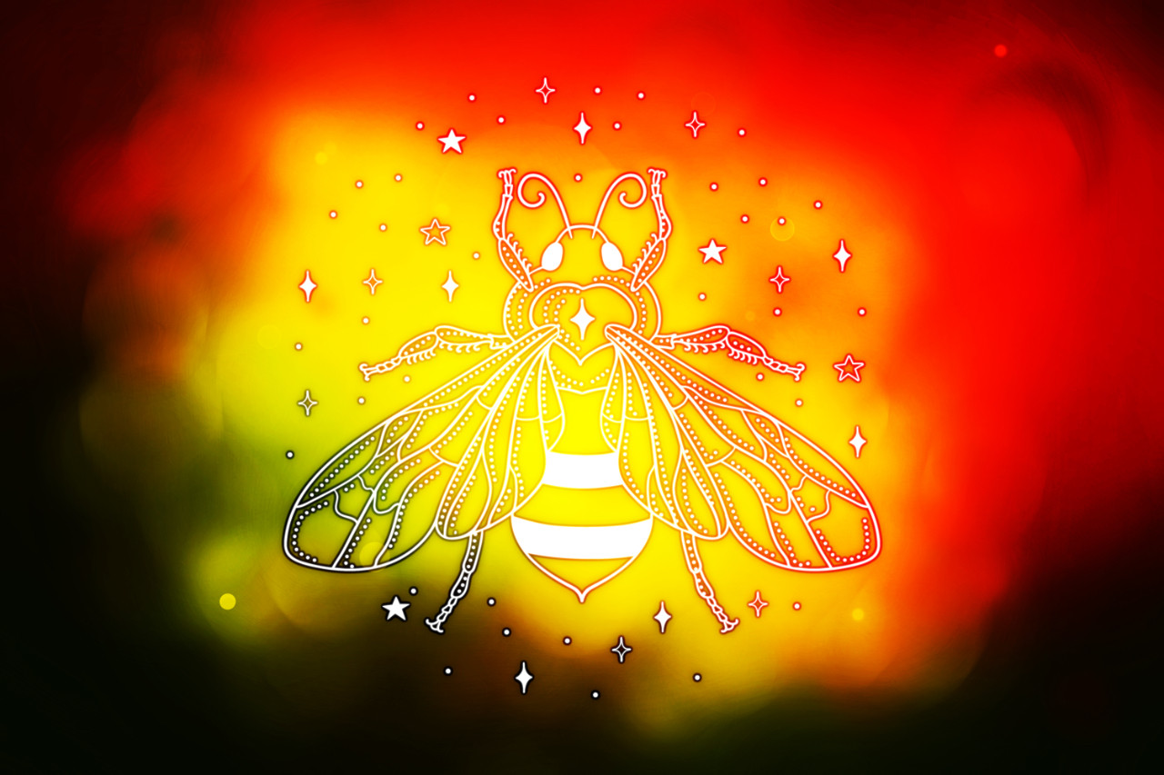 光を運ぶミツバチ