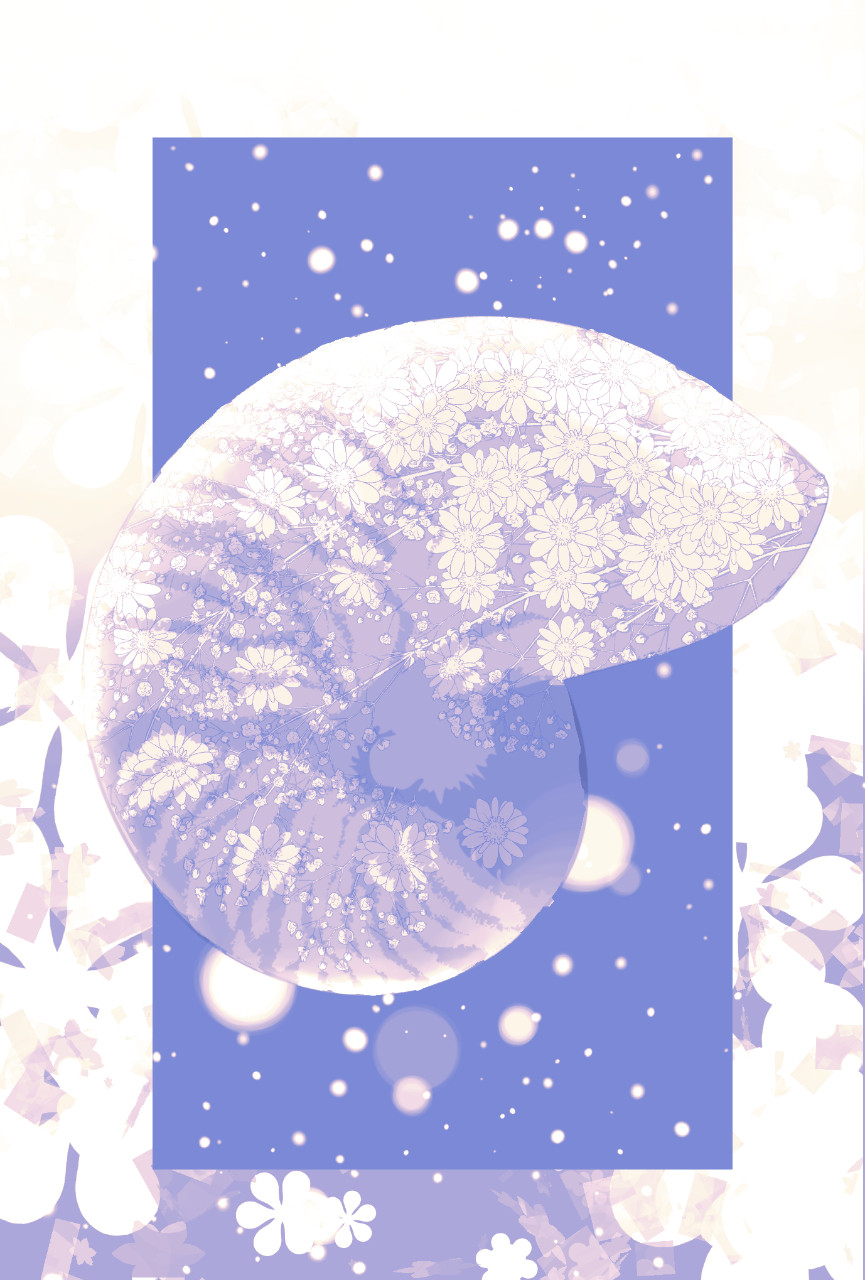 ポストカード【オウム貝と花】