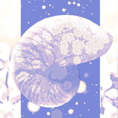 ポストカード【オウム貝と花】 / 織人文