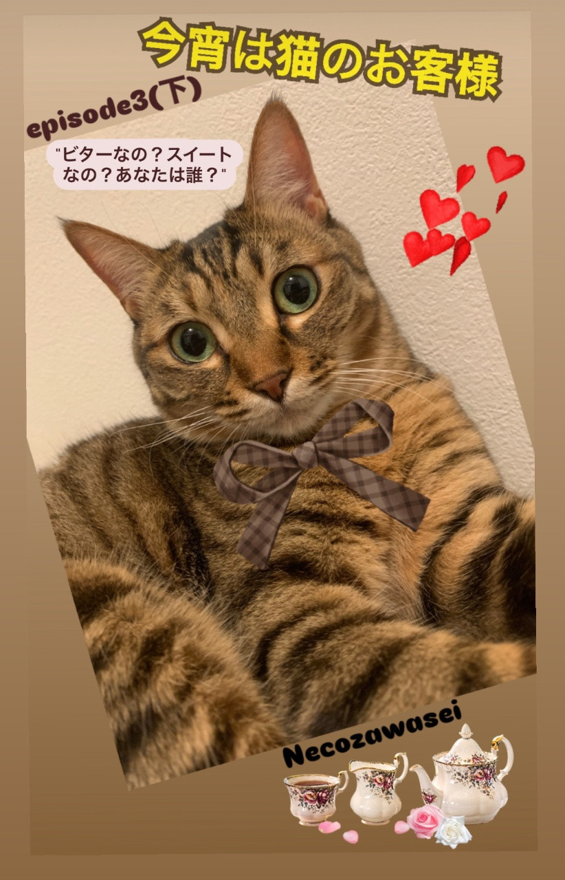 短編小説「今宵は猫のお客様episode3(下)〜ビターなの？スイートなの？あなたは誰？」