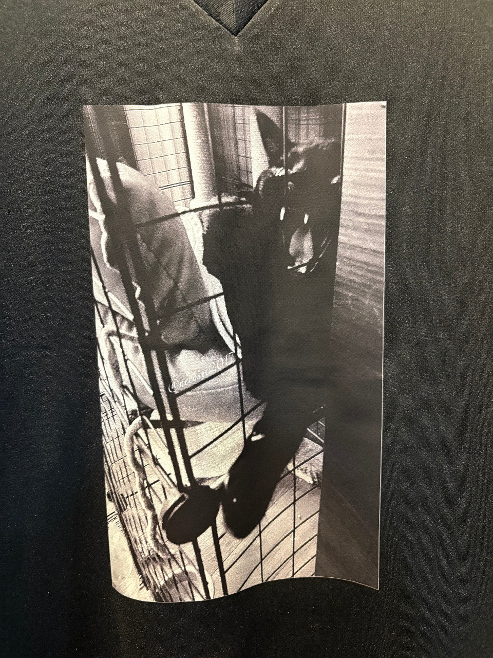 黒猫ドライＶネックＴシャツ（Ｍ）