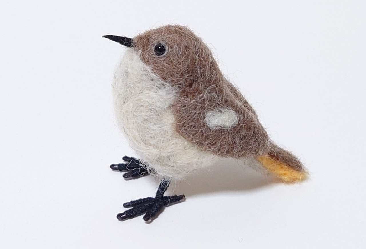 ジョウビタキ（4）