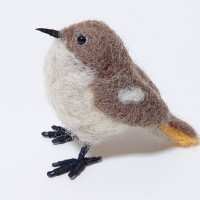 ジョウビタキ（4） / ノガタ