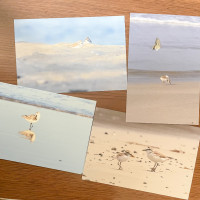 【セット】鳥写ポストカードB / 孤伏澤つたゐ