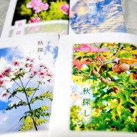 掌編集　秋探し　 / ケー／恵陽