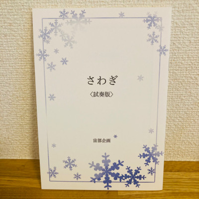 さわぎ〈試奏版〉 / あわい