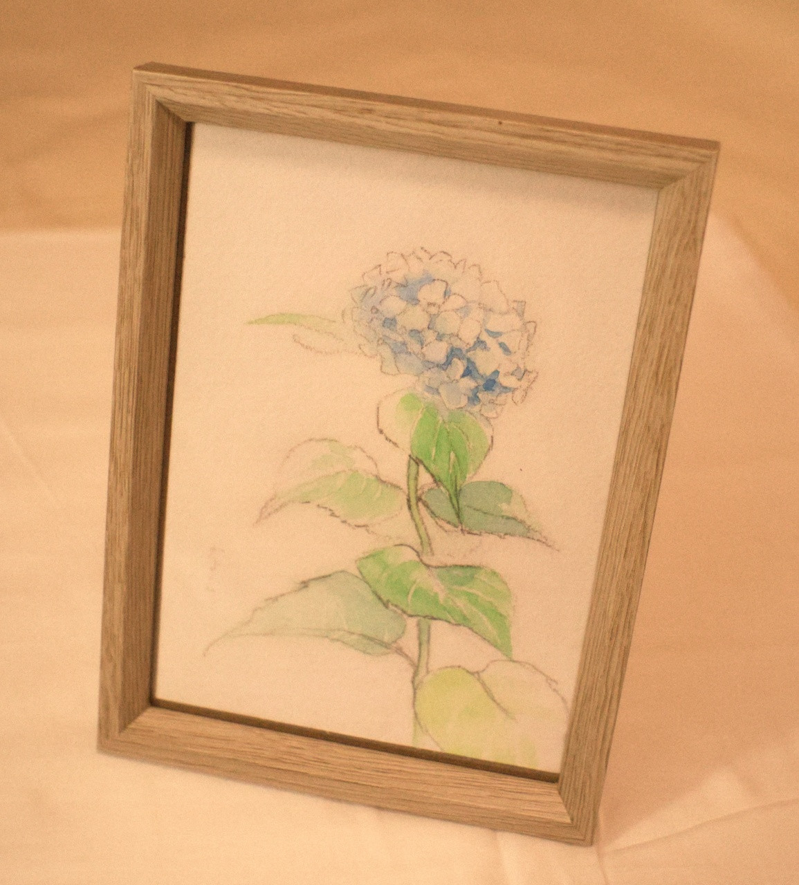 水彩画、アジサイ「凛と。」