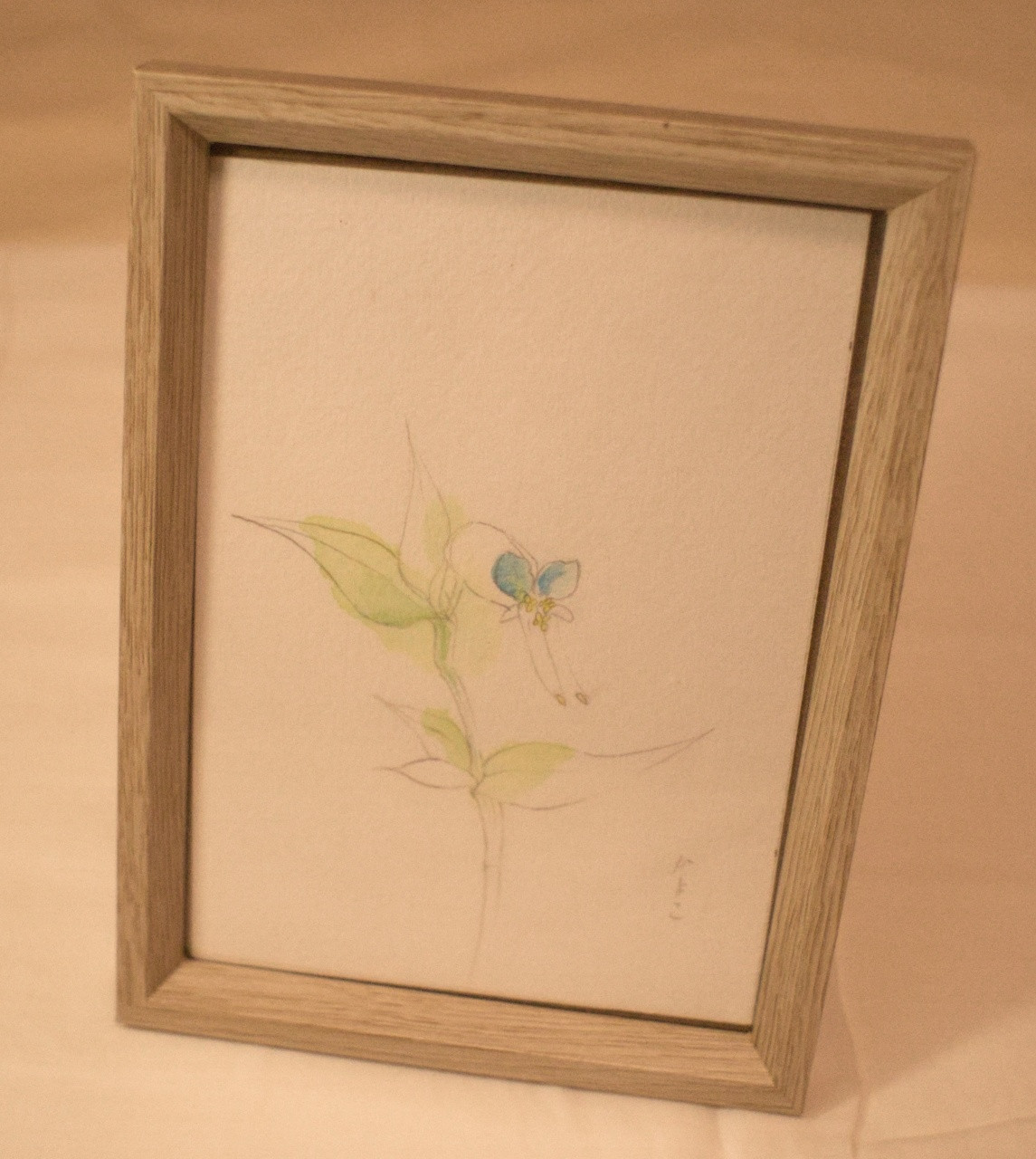 水彩画、つゆ草「夏も終わり」