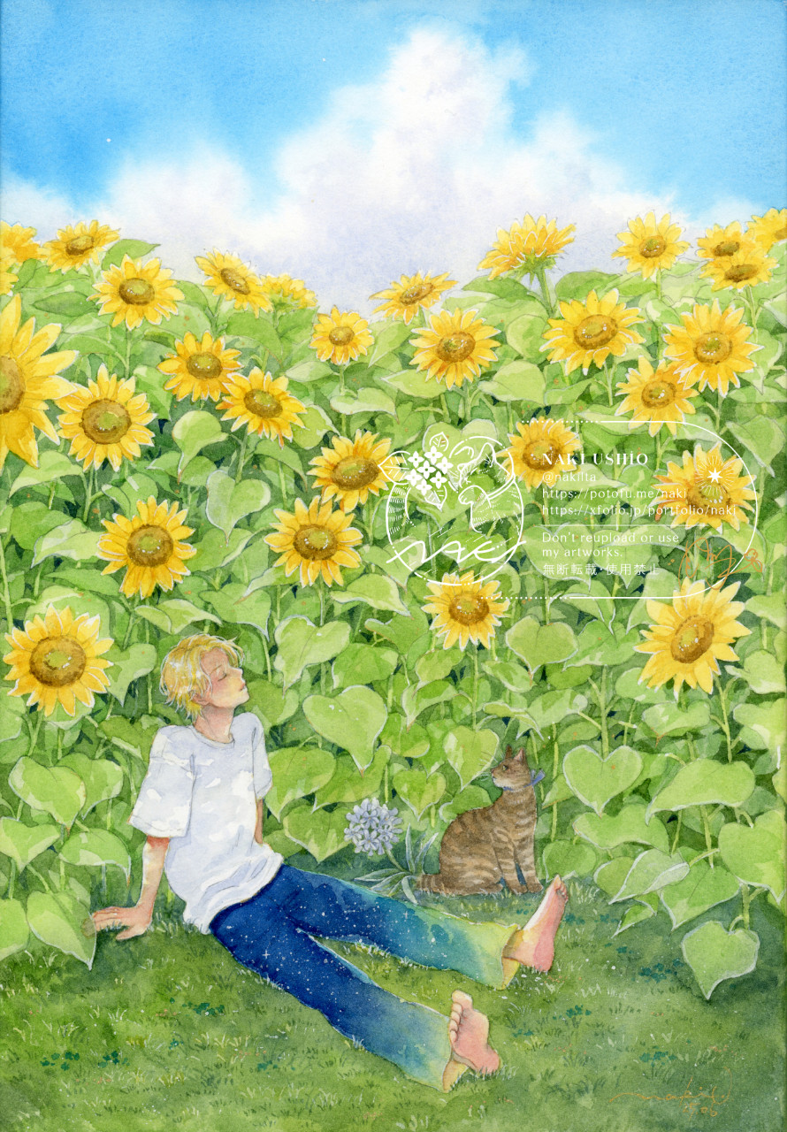 【ポストカード】夏の色