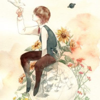 ポストカード stream of time / 汐　那木