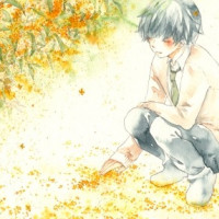 ポストカード 降り積もる色 / 汐　那木
