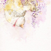 【SALE】Wisteria / 那木