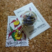 イヤフォンジャック 01 ラベンダー / 奇まぐれ屋／空乃こま