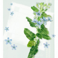 小さな青い花とドロンワークのハンカチーフ　ポストカード / 眞珠瑯