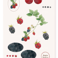 イラストシール　fraise / 眞珠瑯