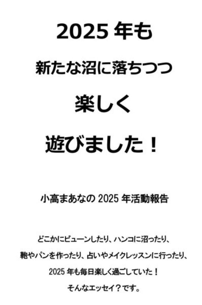 2025年も新たな沼に落ちつつ楽しく遊びました!