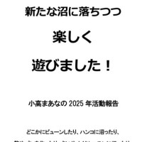 2025年も新たな沼に落ちつつ楽しく遊びました! / 小高まあな