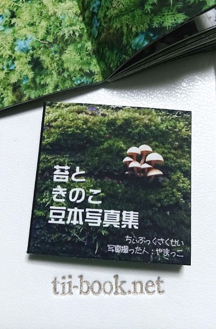 苔とキノコの豆本写真集