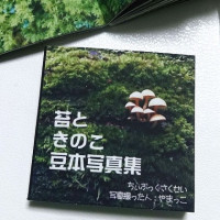 苔とキノコの豆本写真集