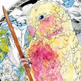 描く鳥・ポストカード