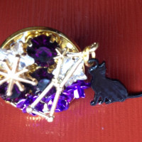 シュレーディンガーの猫（ピンズ） / 花紫
