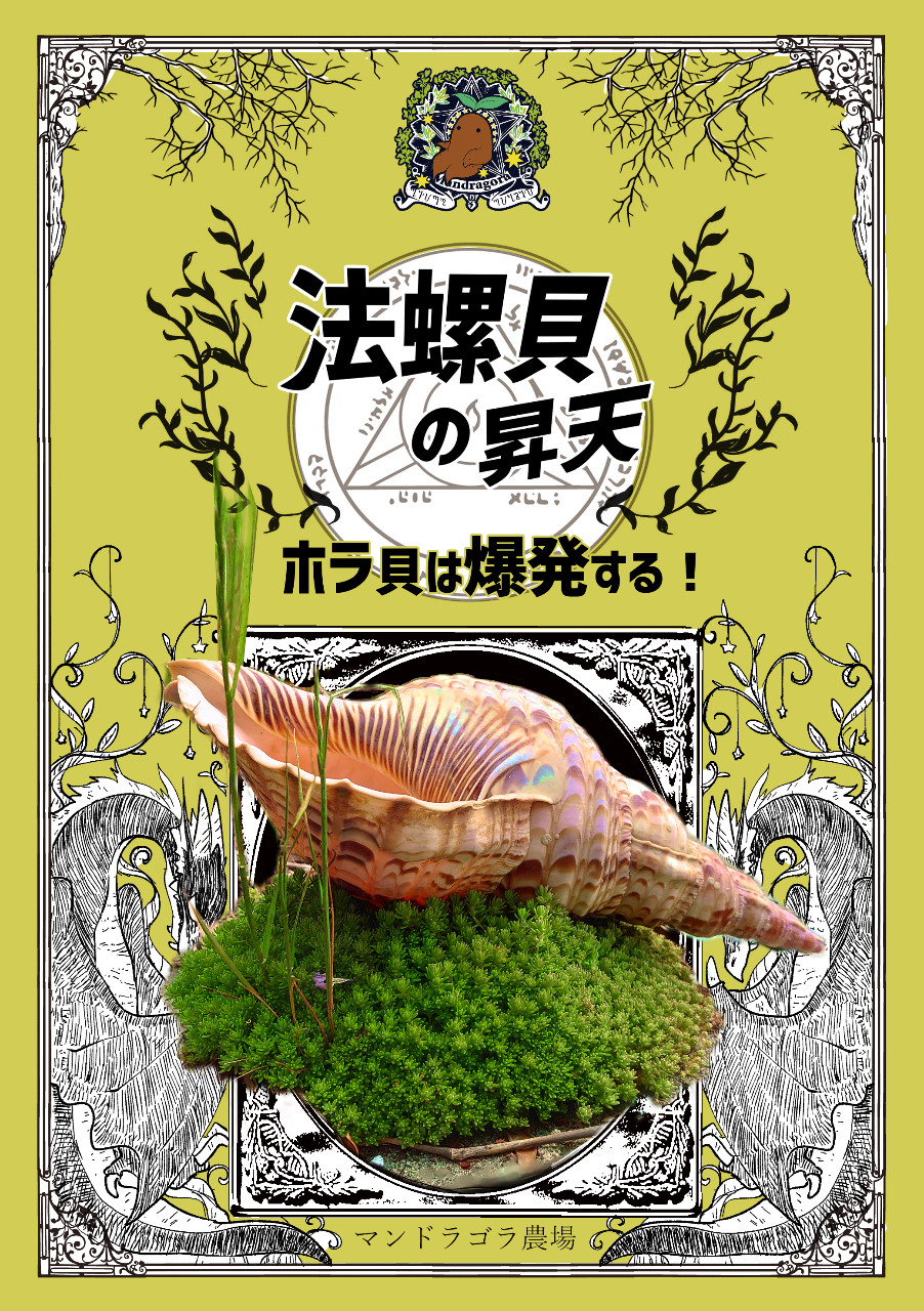【書籍】法螺貝の昇天
