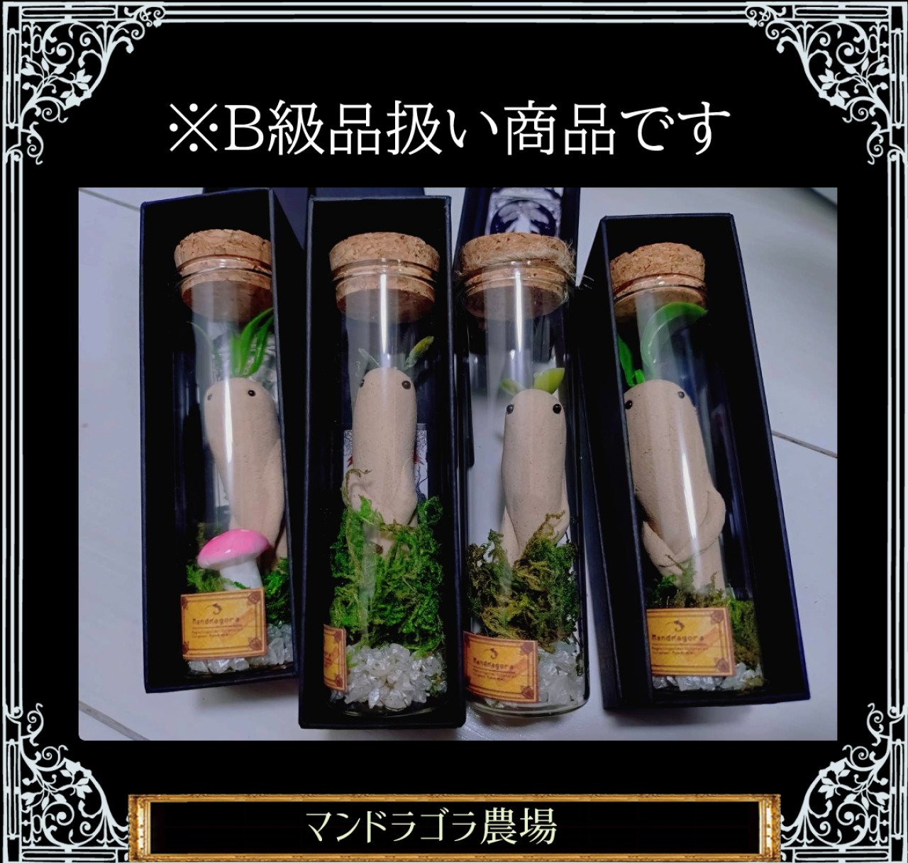 ★B級品　魔法雑貨 マンドラゴラの瓶詰め【大1個】箱入り by チドリアシ魔法雑貨店