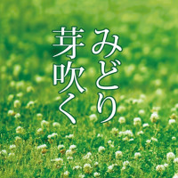 熊本応援チャリティ文章アンソロジー『みどり芽吹く』 / 虚影庵