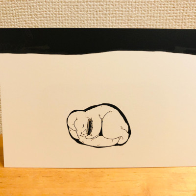 reading cat postcard（冬） / mimitaro