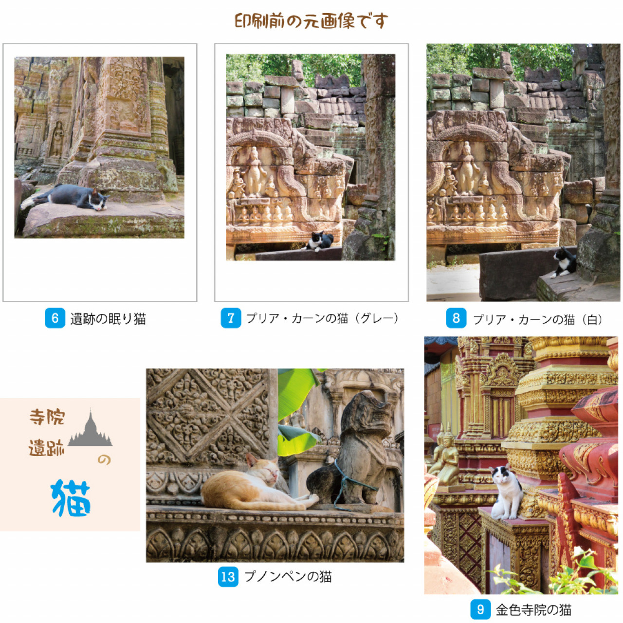 寺院・遺跡の猫 ポストカード 