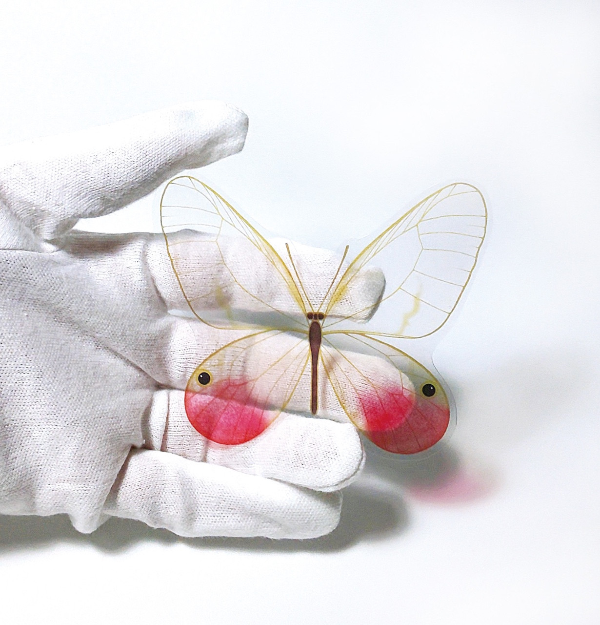 透ける栞（スカシジャノメ）